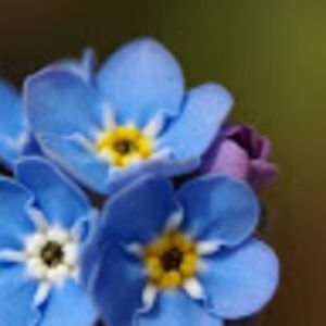 Meet your Posher, Hope